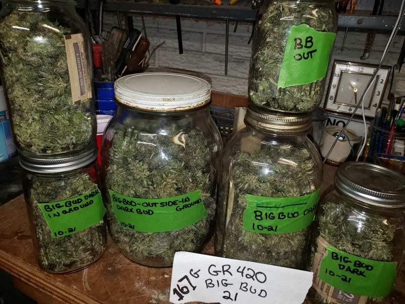 16351219055458347142723491732531