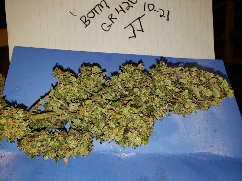 16351267704579011624770246435893