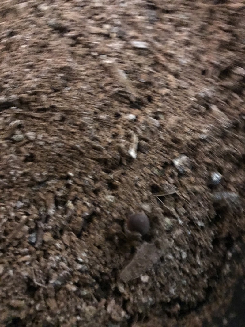 8F00E2BB-8B72-4EB9-A6F7-2EB0C0D95100