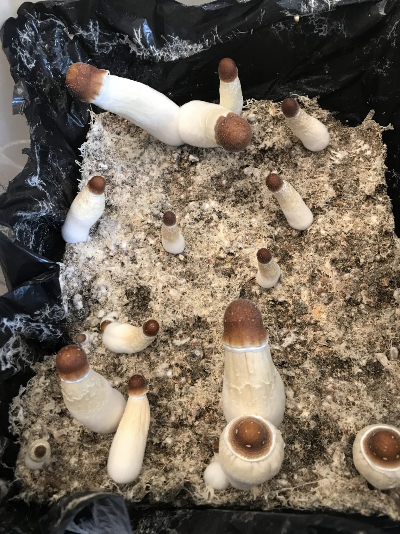 7DCDEE2E-A74E-450E-95D0-D0117DB06F7F