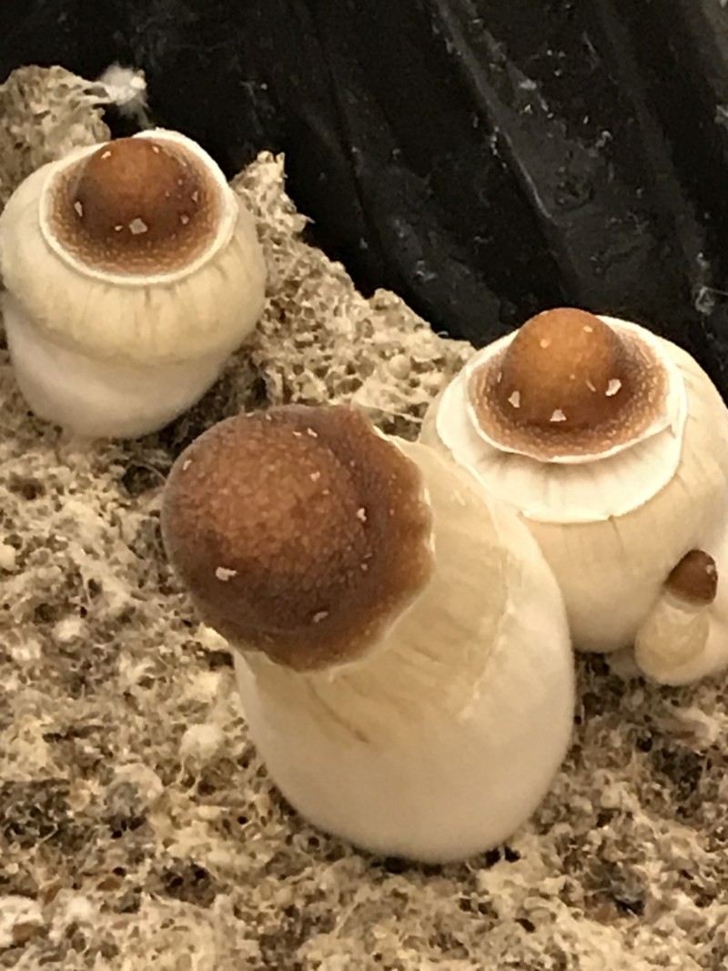 74C1C5EB-0216-4360-802E-9E341CC28C03