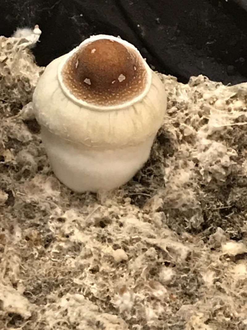 F89D1695-7839-409D-9140-7AE03BC13520