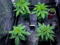 420D67CD-3982-4C06-8D80-8BFEBBB71A85