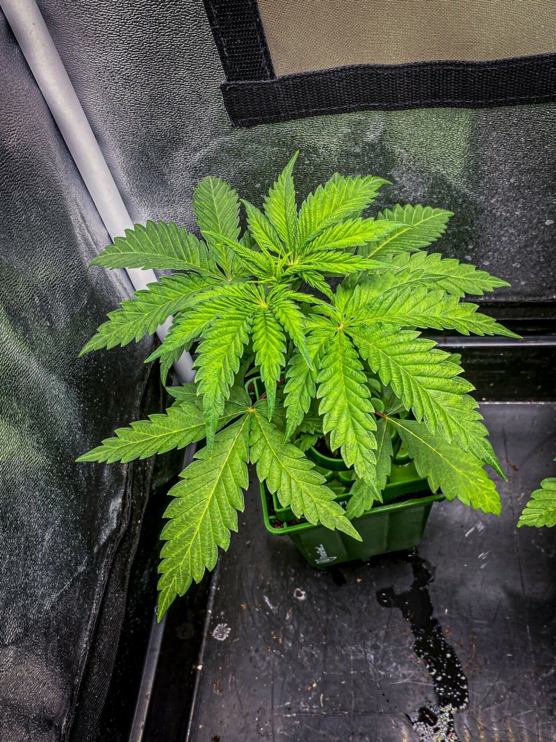 2FA32AF3-4F01-46D2-909E-1A72EBBD2942