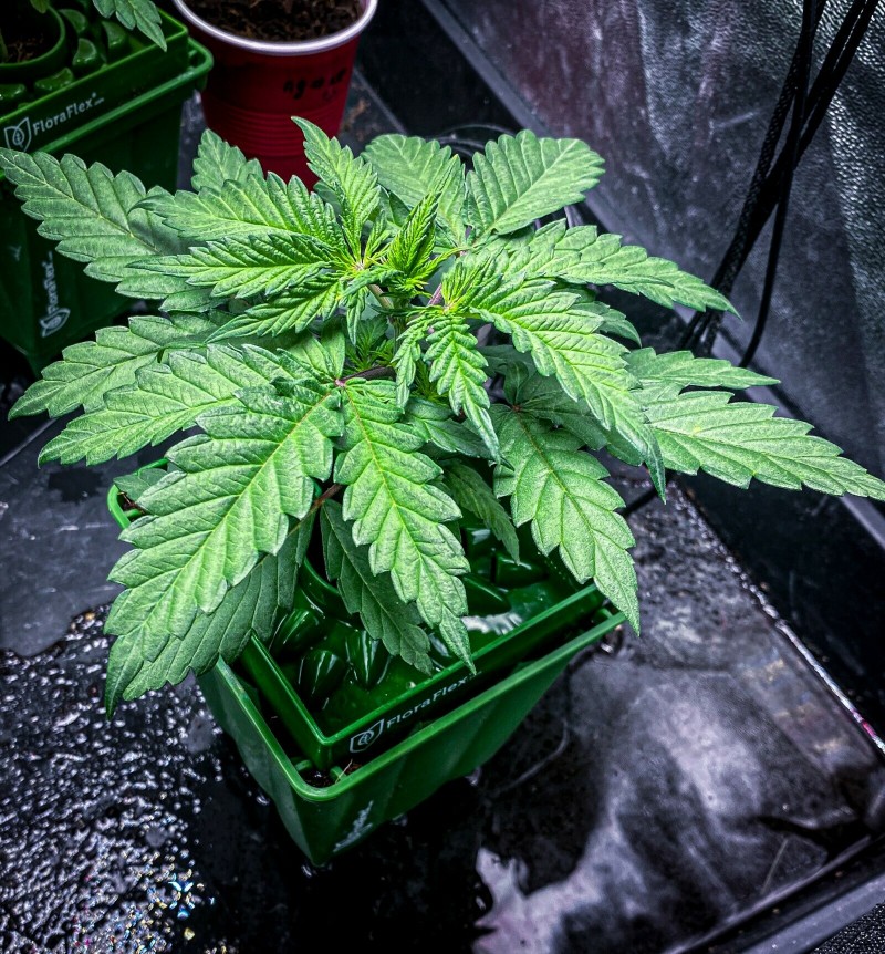 3A94D441-5512-449A-86AA-AAE52F808C4D