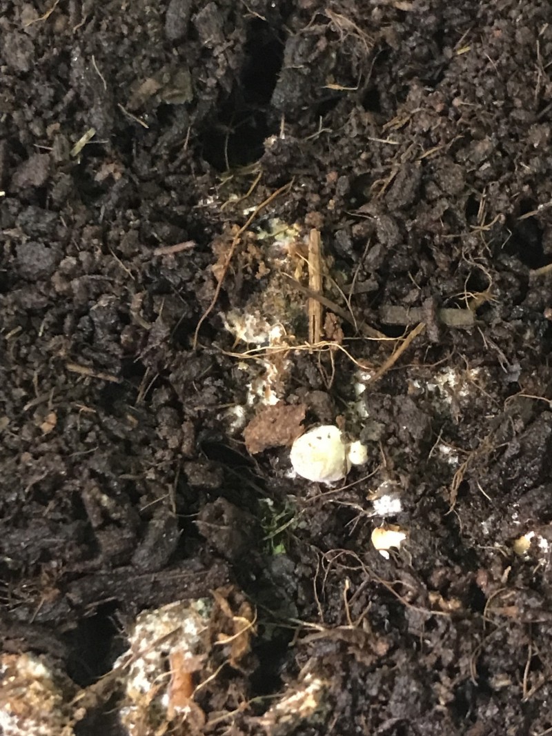 168B9202-85B8-46D1-99A4-AD5F0F8BD9C3