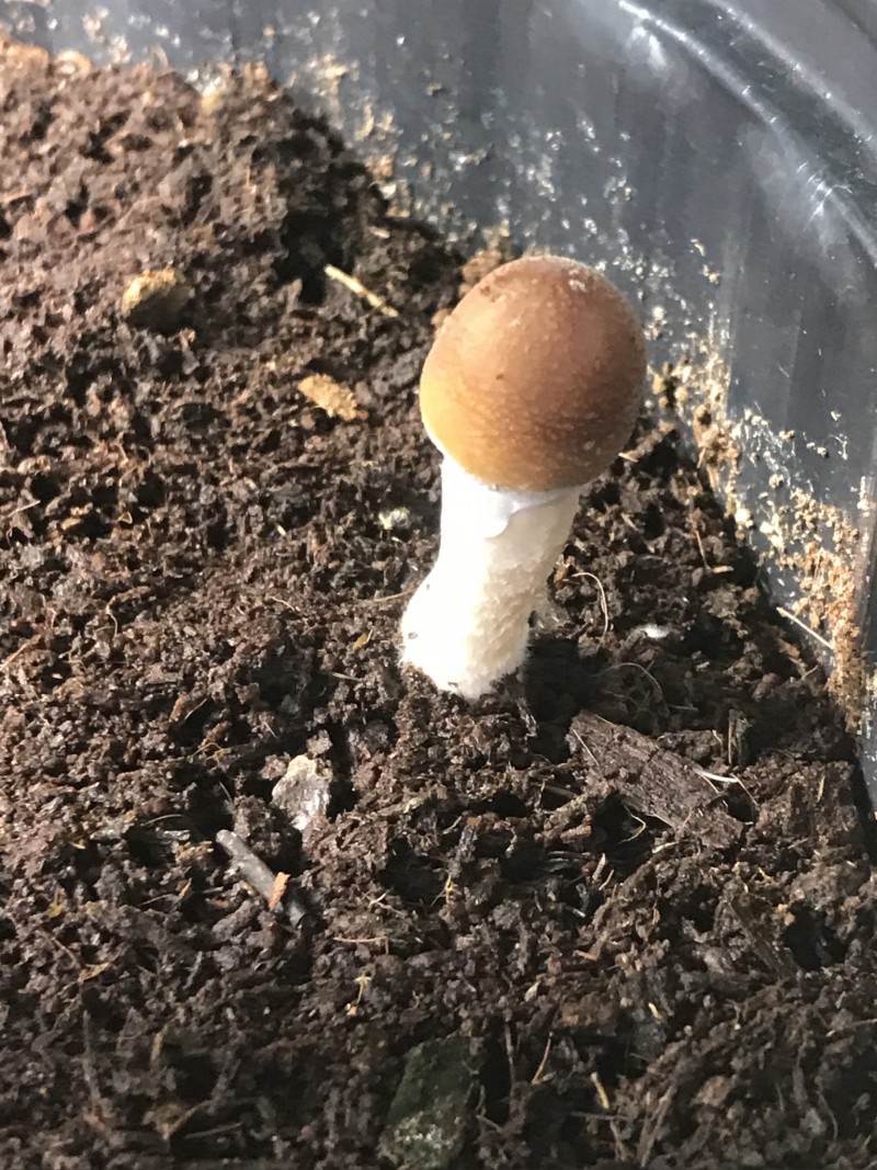 A3013AF4-7C72-43F3-8E6C-F8AC2265FA1C