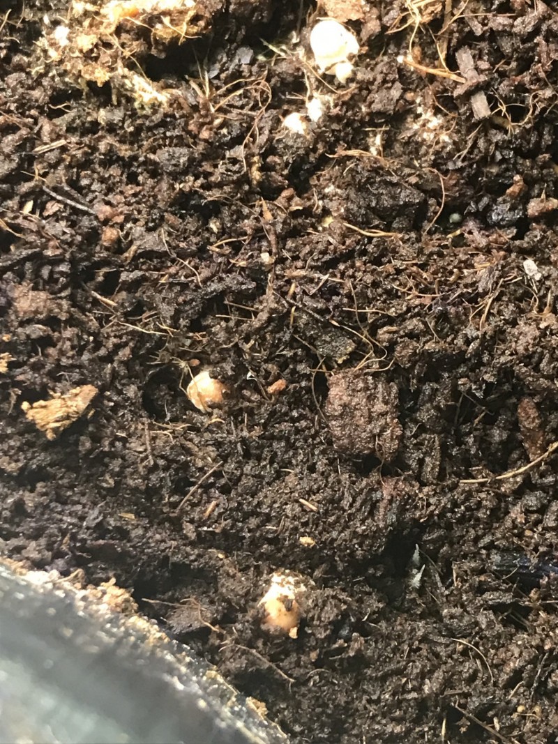 7B626036-DB76-417F-A68A-CCAB0668939E