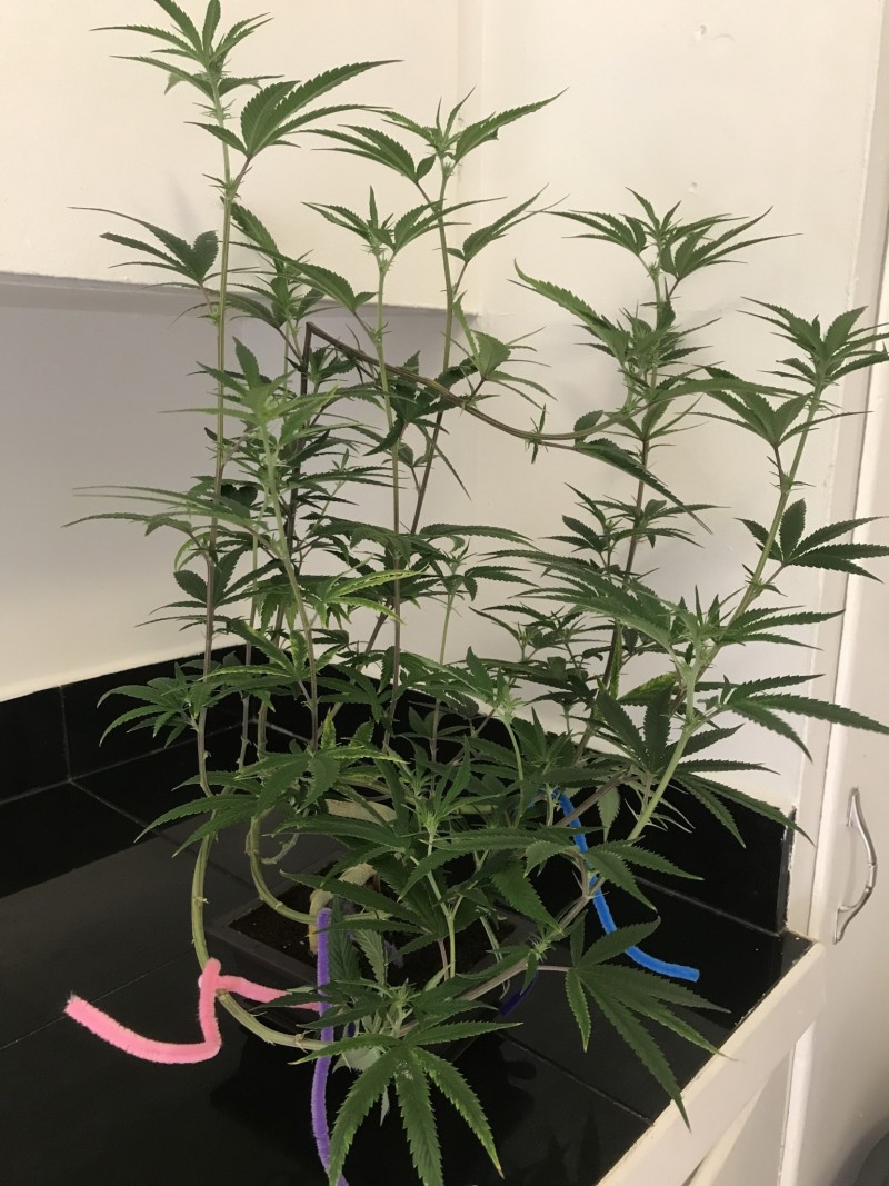 5F0BAF7F-097E-4C60-9AFE-AE2FDA8A89BC