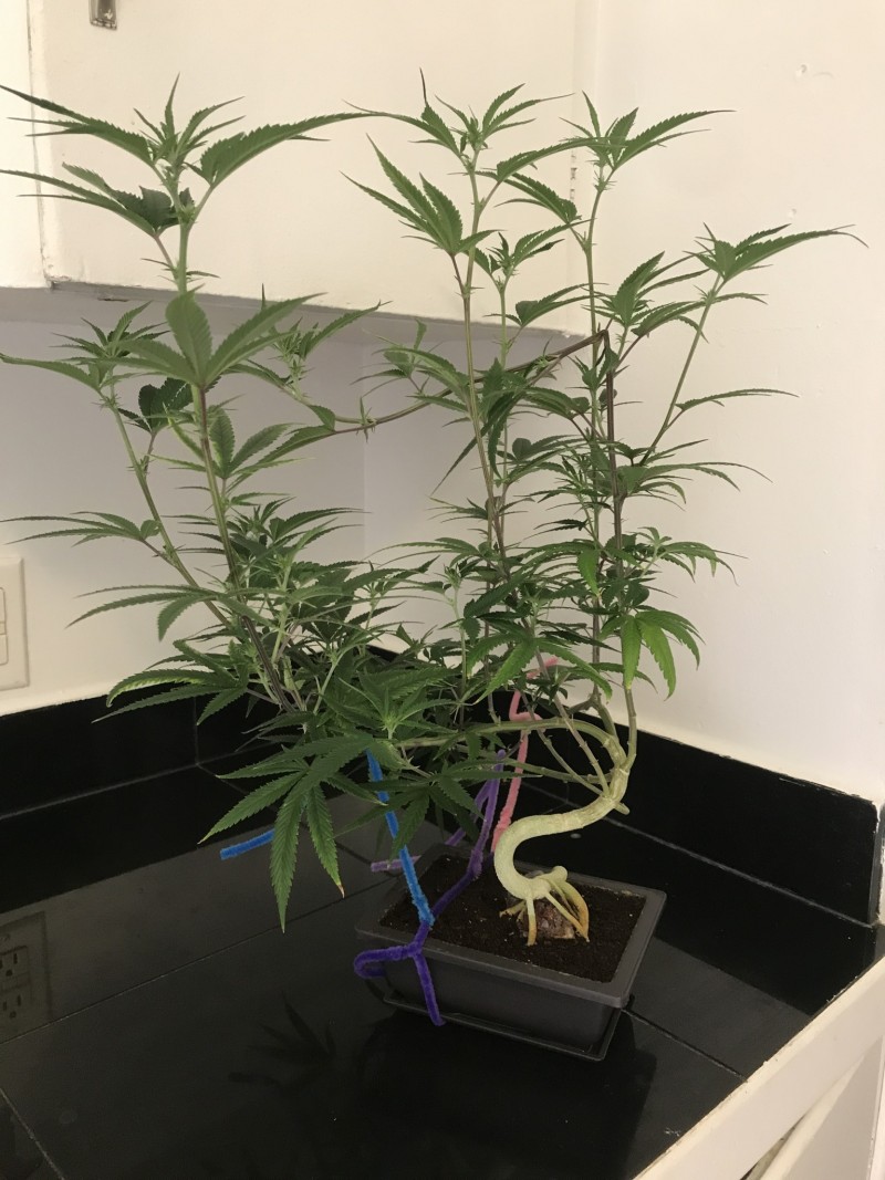 4D8931FD-7332-463E-89D0-ED5232F6CE1E