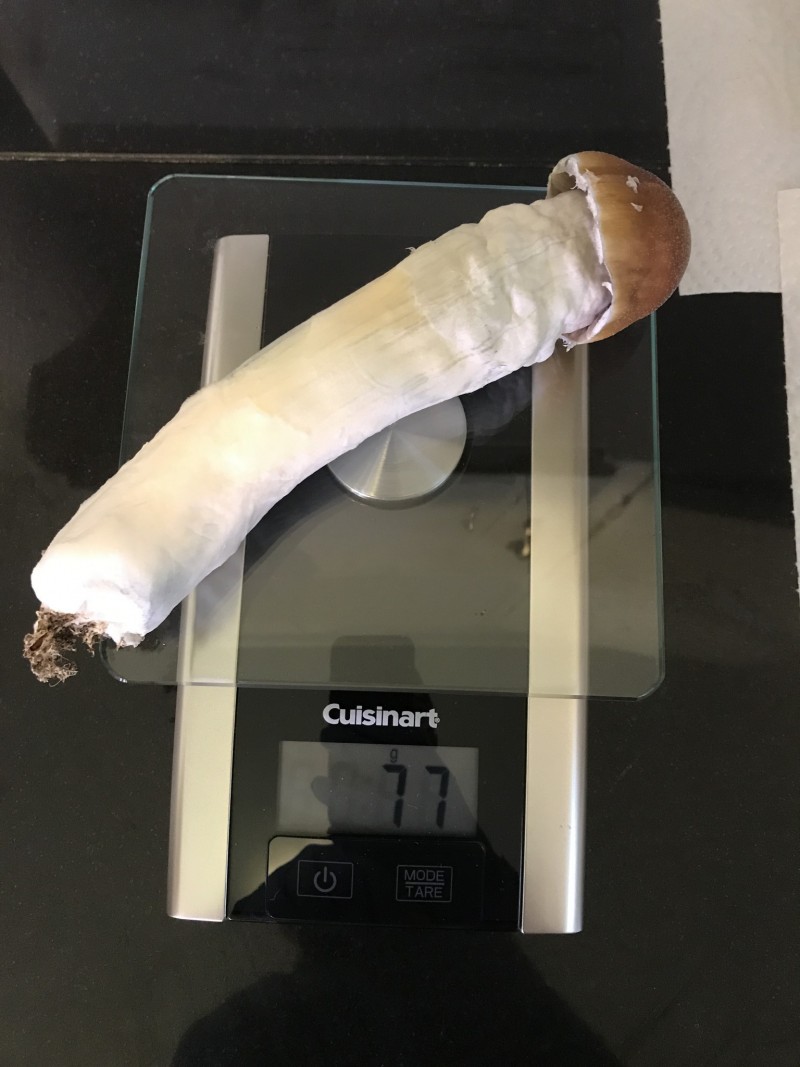 8826D152-9D53-43B7-8411-934A3DF5F470