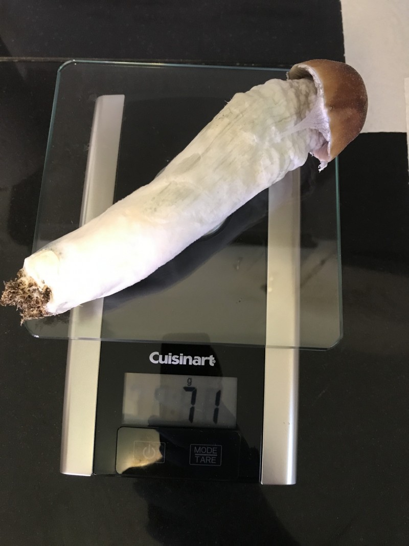 CDE6A538-33DD-46E6-90DF-885339900B08