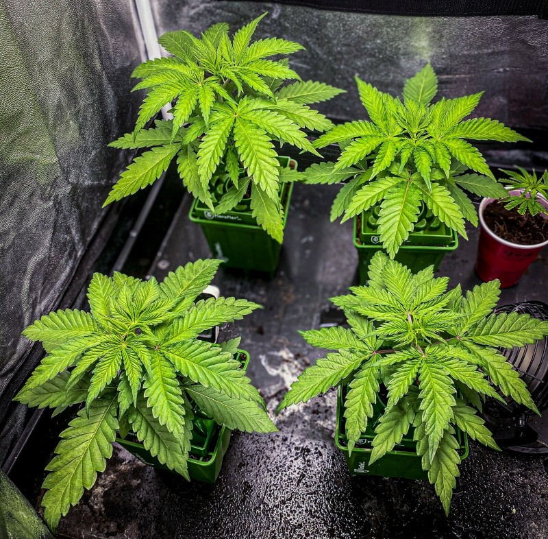 C43D02B9-0323-4BC4-8217-7C4723B28F14