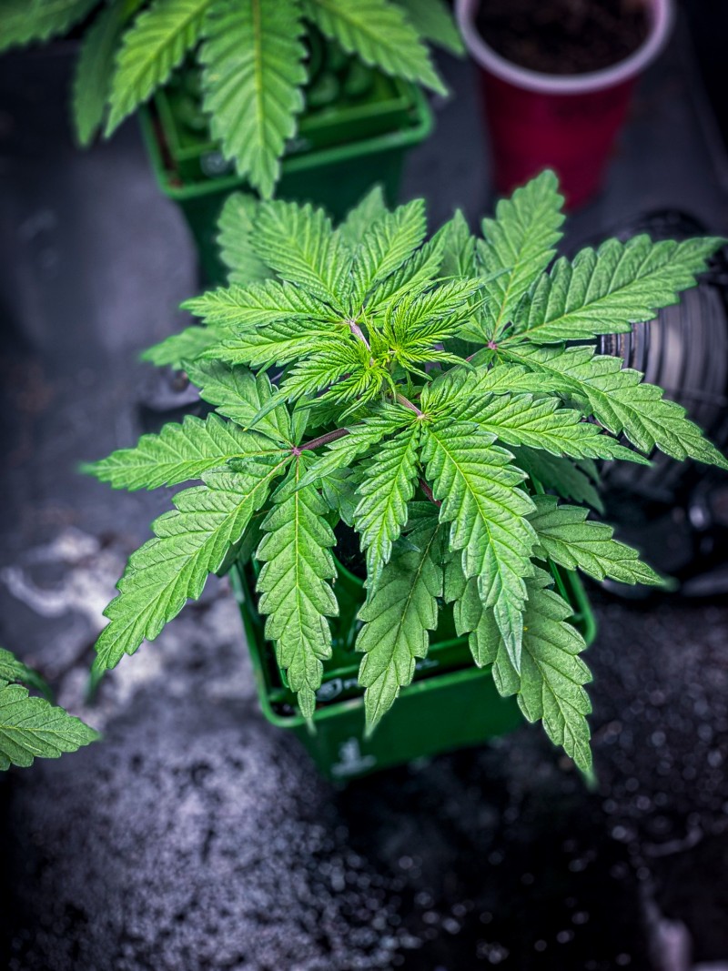 7AA06C23-FA84-4467-8B35-E90AAB16CFA8