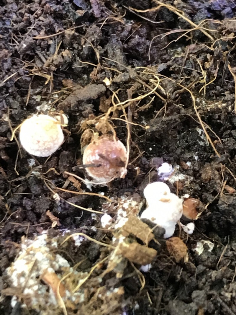 6802434E-0EF2-4522-8F40-C08C26EEB7F6