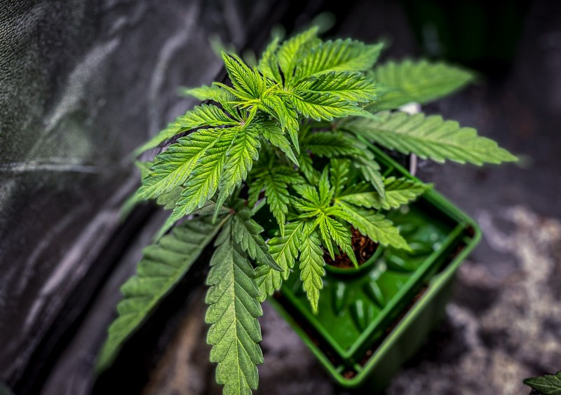 97BF8B8B-3592-442B-A8FD-D452FD4F77BD