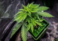 97BF8B8B-3592-442B-A8FD-D452FD4F77BD