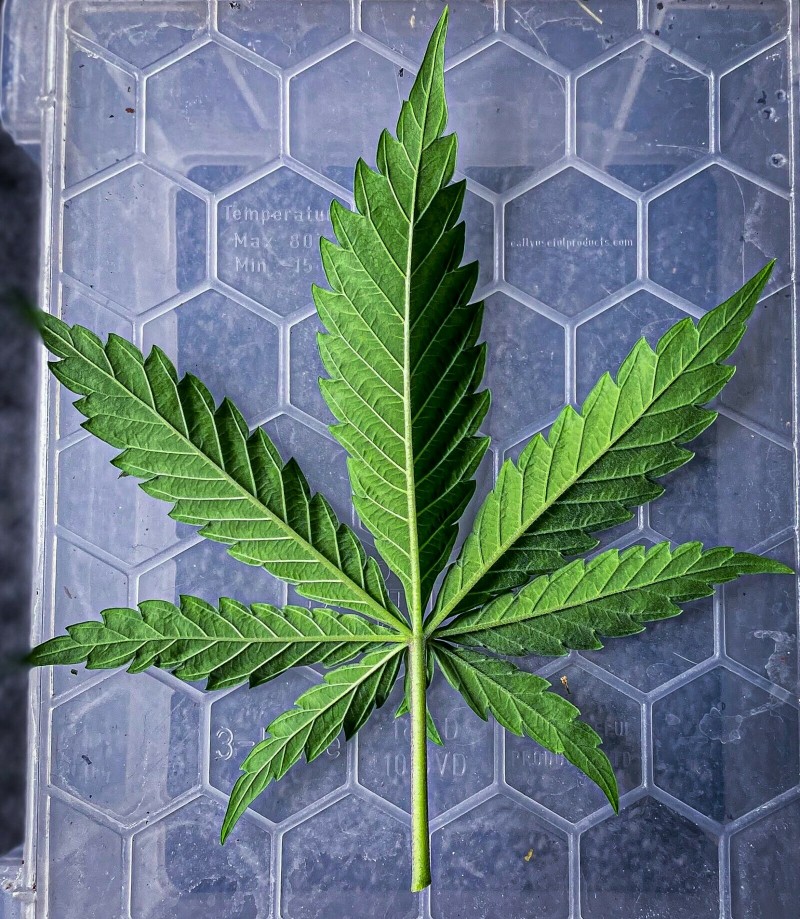 3AFBB1FA-CC4E-42BE-A8CC-20D2A525E5D3