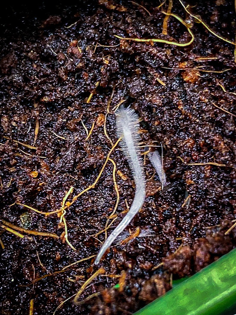 3C97BD22-47E3-4172-A439-830CC5B555E6