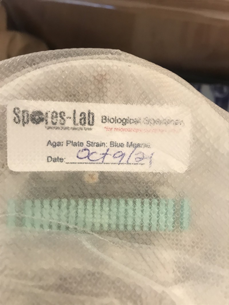 BCB2DAD1-51F4-4E56-8020-C2B817210BCB