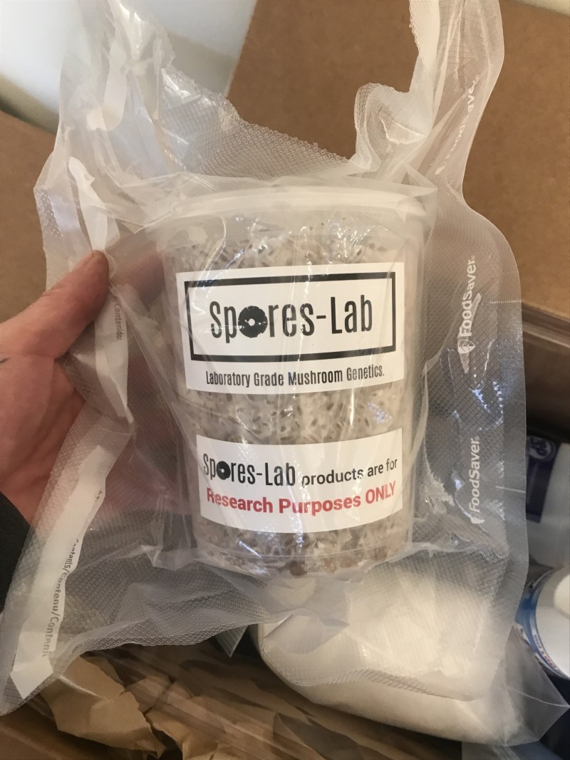 60B323FB-D8F1-4A01-BDF2-2D769F3AD233