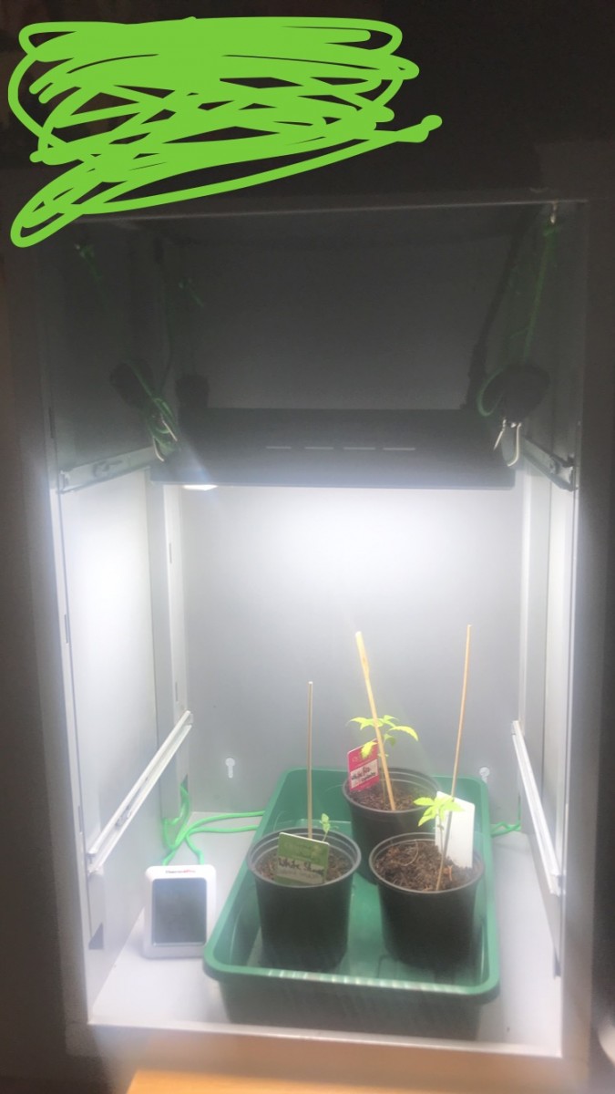 4910B914-C52F-402A-8A34-DB8971A7F762