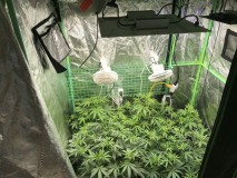 B913233D-5D56-49DC-9DE3-DC025AA27D43