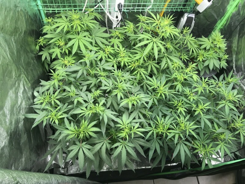 A79F6C39-AF76-4CB7-8C7B-6558C811DF75