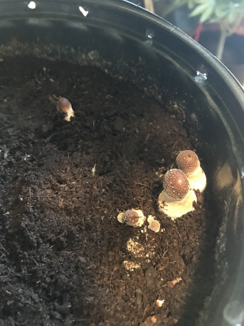 39E34E6D-2A3E-4A34-9FA7-539964B190EC