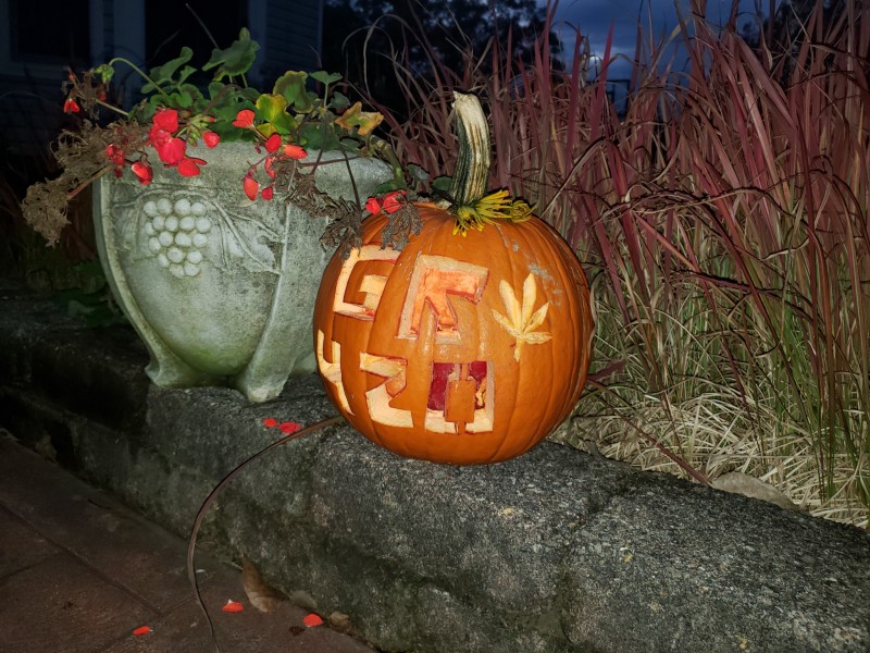 16354609025108052967581920694824