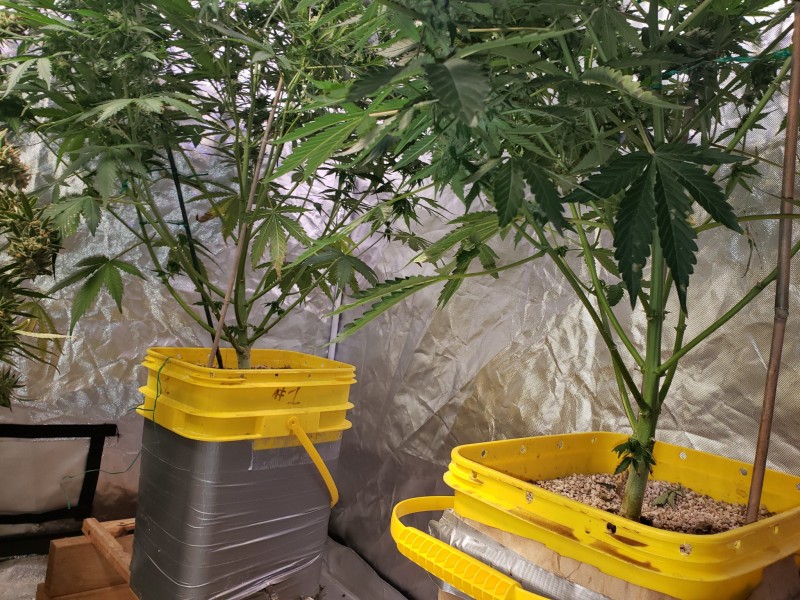 1635475140126520639561648164055