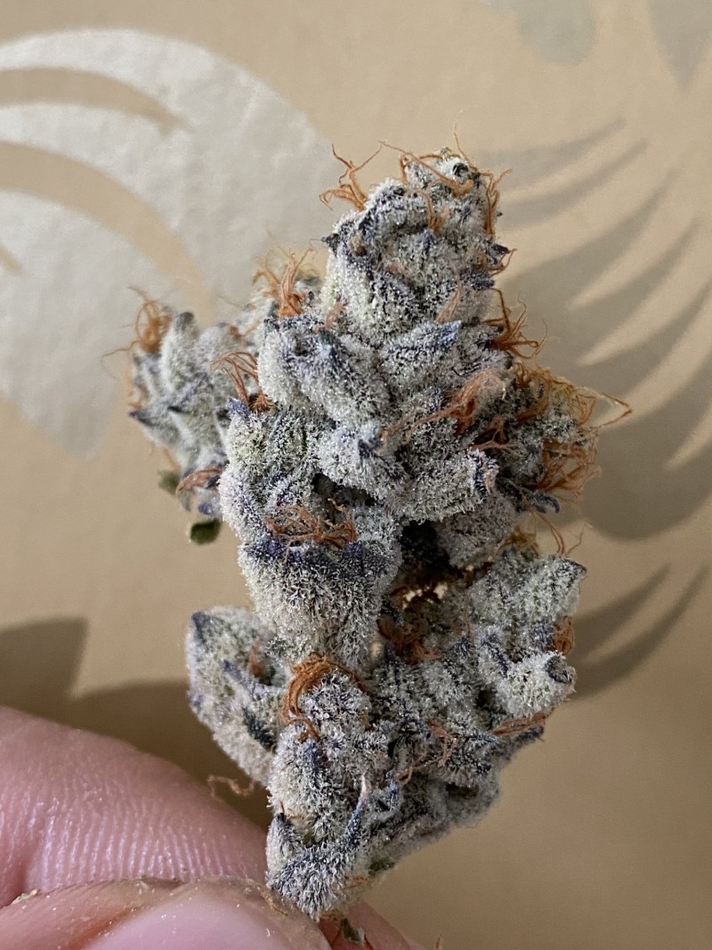 772B3808-6352-44CE-9188-7DE441FD088D