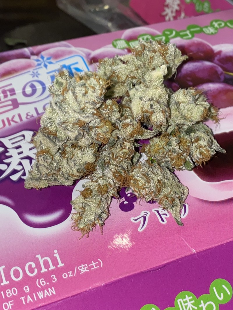 B7155FF0-16B2-4AAE-9D44-BF7C62E10D44