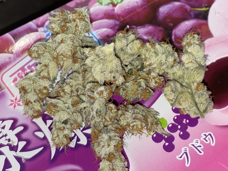 35979477-AA0D-4496-9E3D-CA59BE4EB961