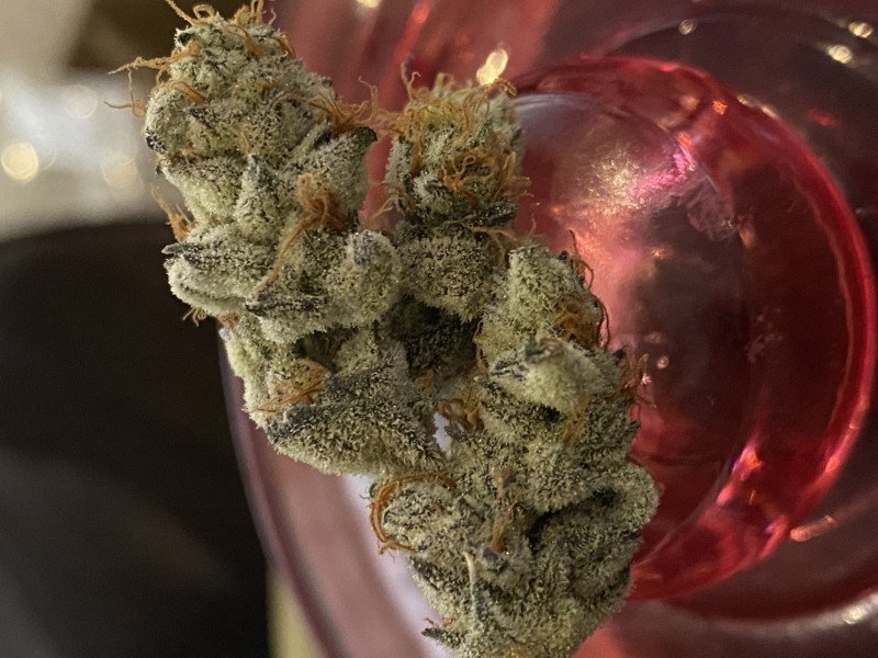 D958090F-5B40-44C8-B371-EDCA7A14FA90