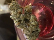 D958090F-5B40-44C8-B371-EDCA7A14FA90