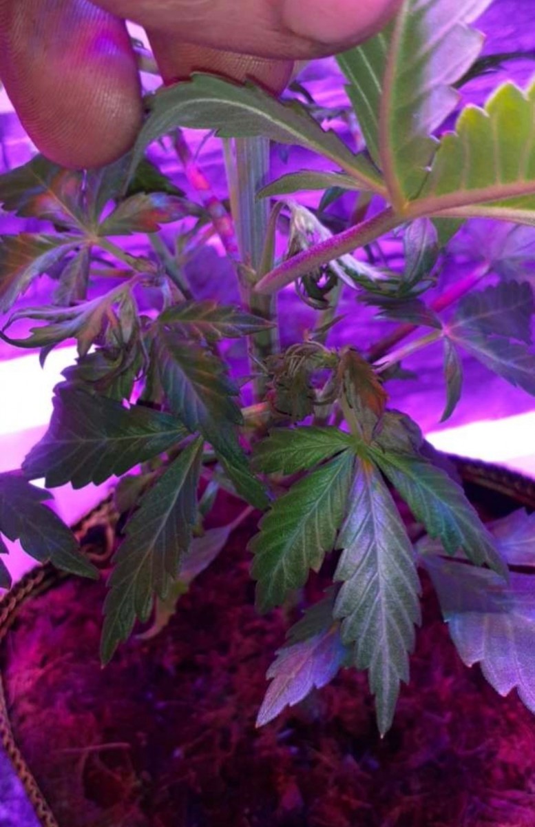 Screenshot_20211029-171249_Snapchat