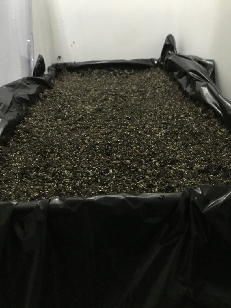 5ED7FAA5-52F1-4F4B-BD3A-BACB0DA2DB53