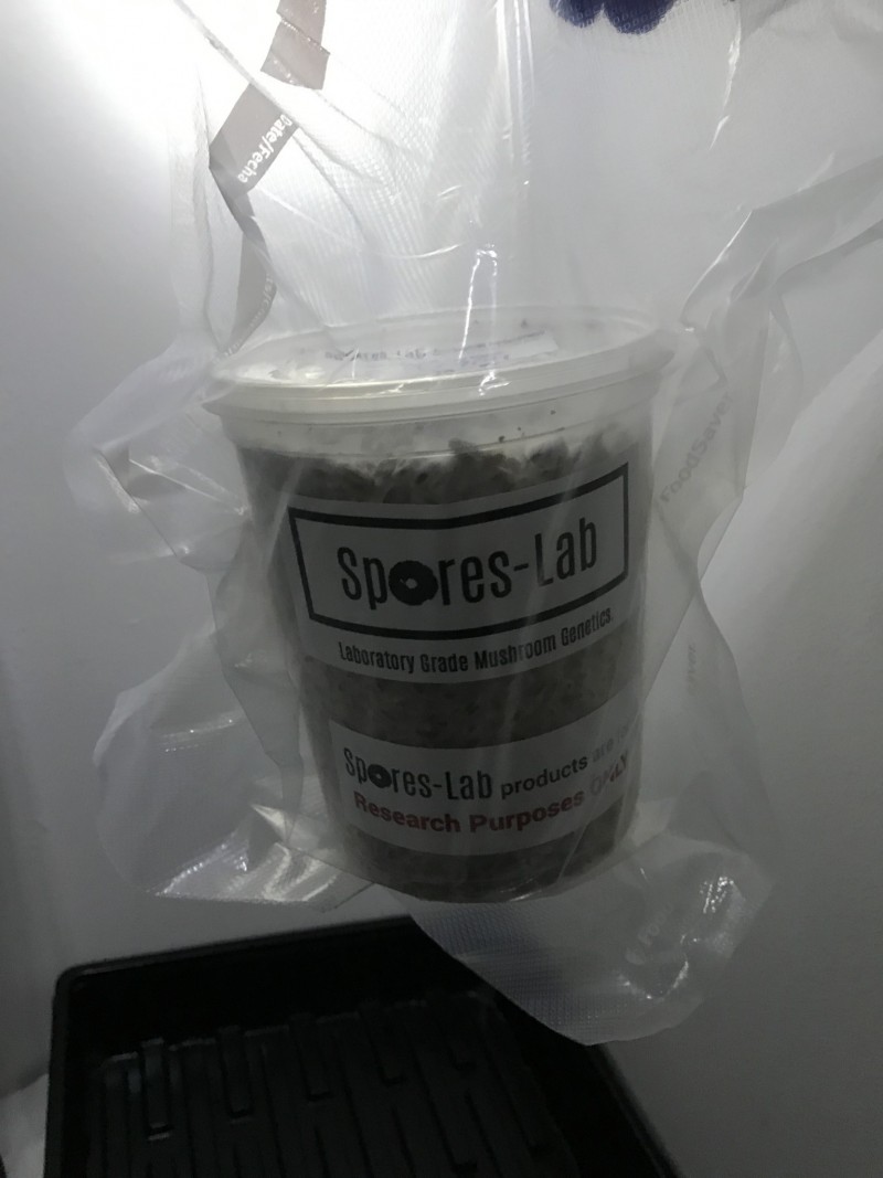 D67C4340-94E3-4DD2-BC9F-6AB9F55B24A1