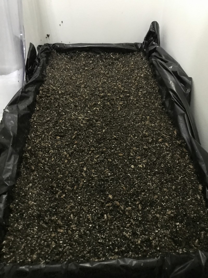 455BAA85-7A7A-428C-9418-D9909BA47B5B