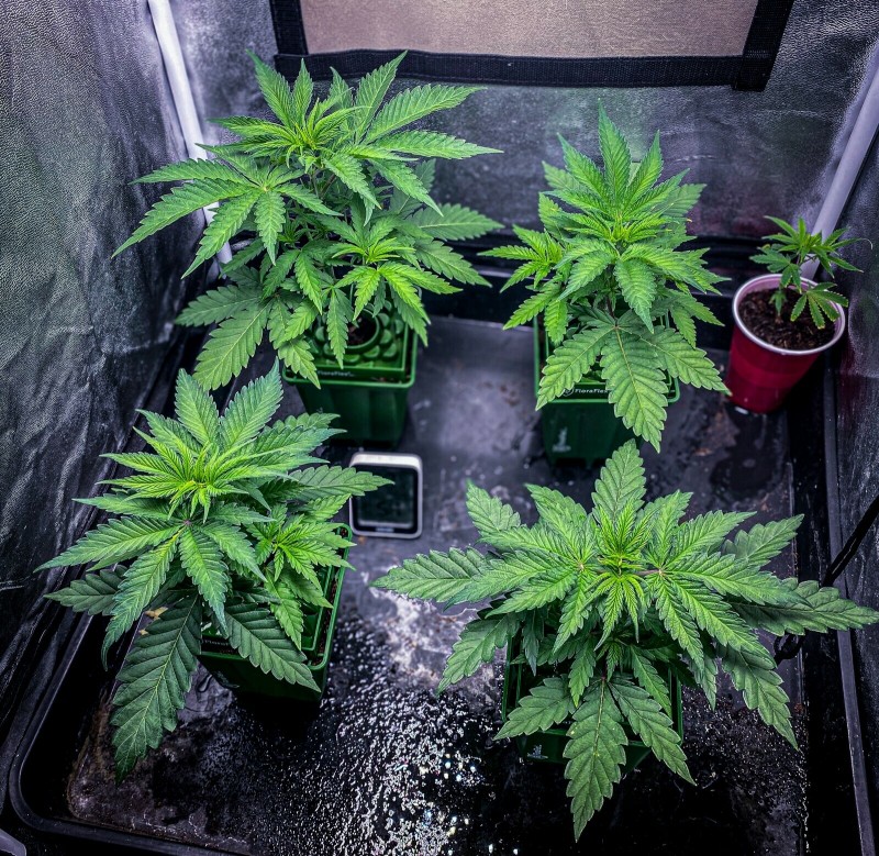 987964B2-6079-445A-8C78-C781EFD22D26