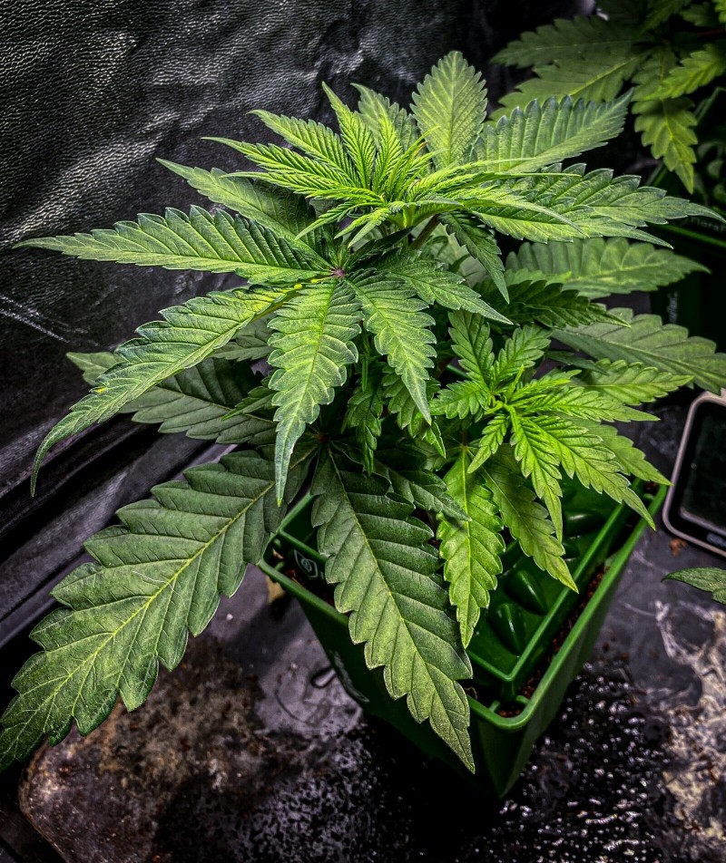 239AF8FC-5A14-4645-A111-67216EAF84D6