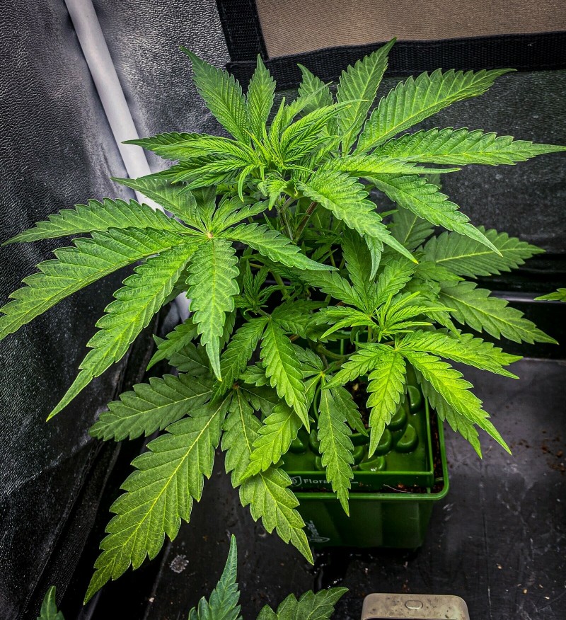 FEA105AF-1E2A-4373-B1BF-7FE032734420