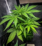 FEA105AF-1E2A-4373-B1BF-7FE032734420