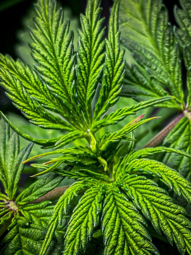 32BF8B6B-14D6-4462-AB43-2F968BE6AF88