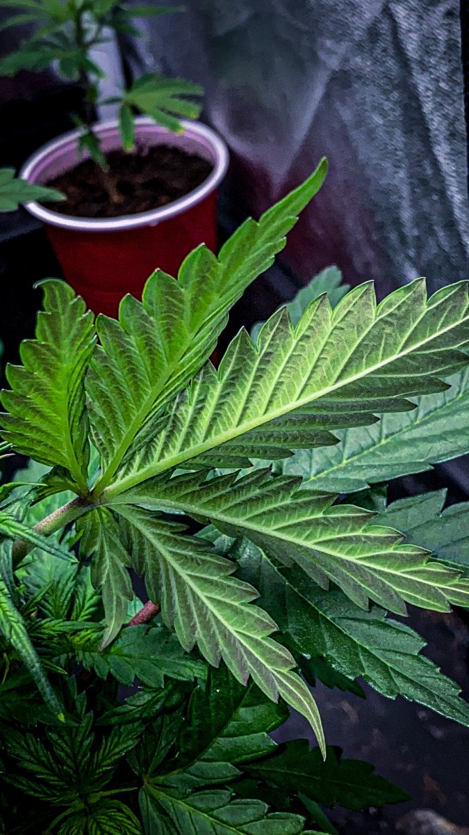 AA0D8B4D-15BA-4952-B9E0-397670B3FF32