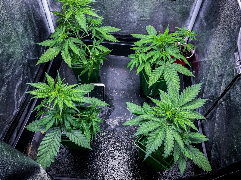 EAF6DECC-E37E-4BB6-BDA6-F4561B03AD29