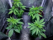 EAF6DECC-E37E-4BB6-BDA6-F4561B03AD29