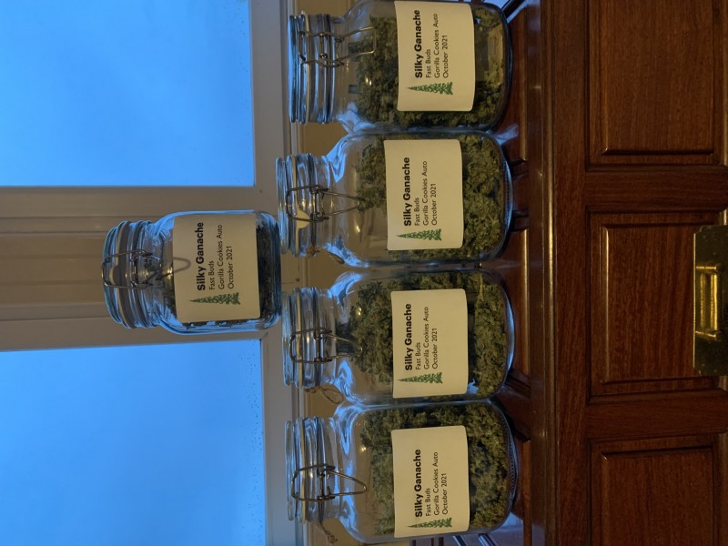 F45AB3AA-1032-462D-AE15-9A6BA8FDD1FF