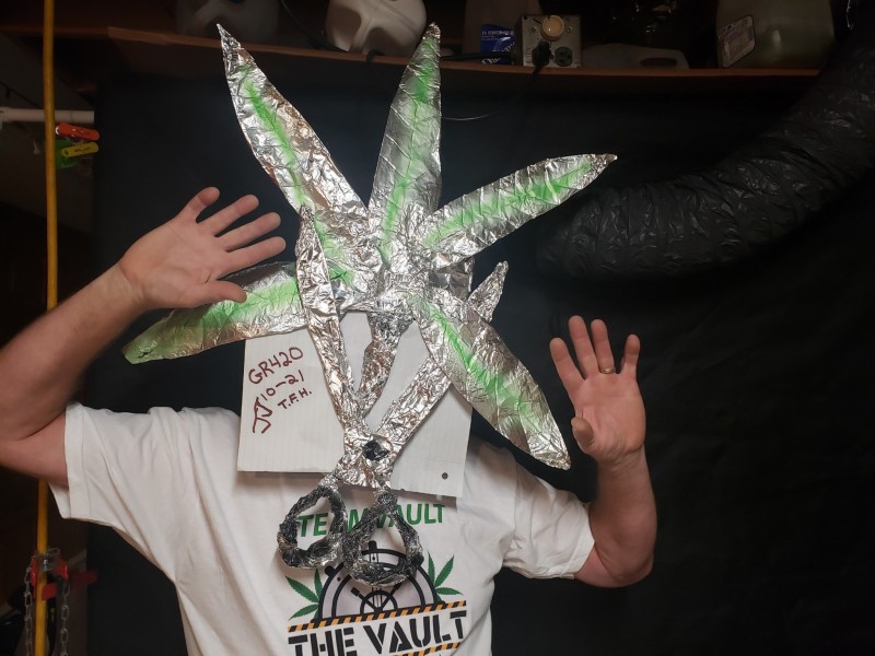 16357164804648765718633535151351